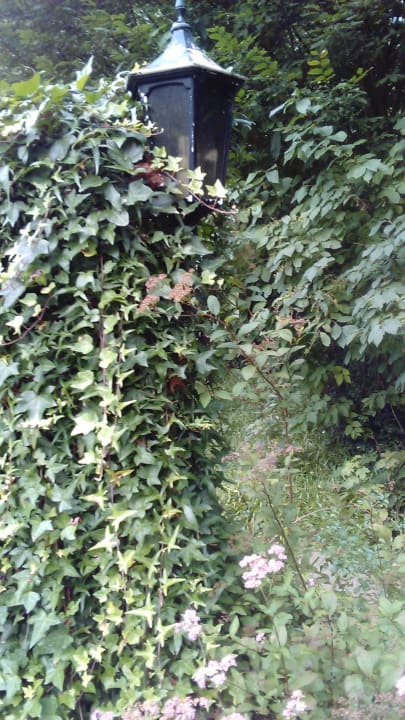 Natur pur. Vila Vita Burghotel Dinklage