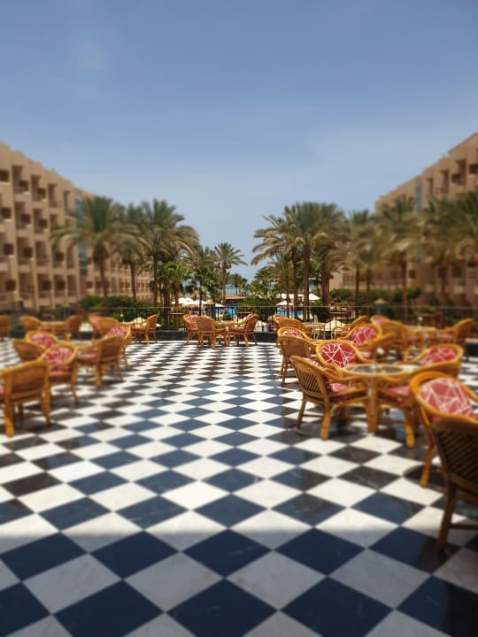 Gastro Sea Star Beau Rivage