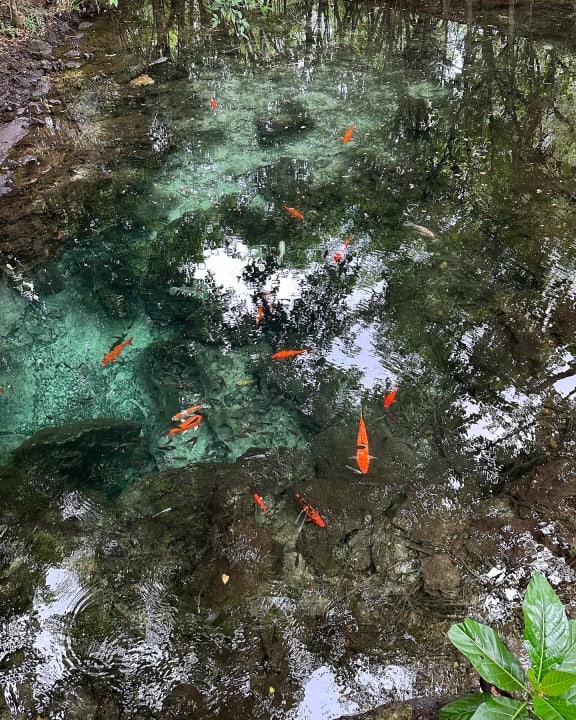 Gartenanlage Dreams La Romana Resort & Spa