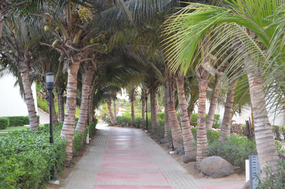 Gartenanlage Hotel Riu Karamboa