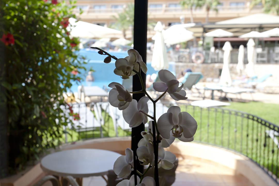 Sonstiges Mon Port Hotel & Spa