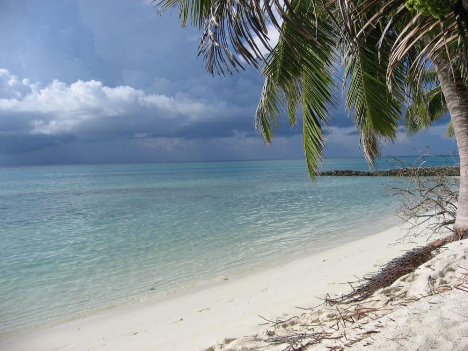 Postkartenidylle Summer Island Maldives