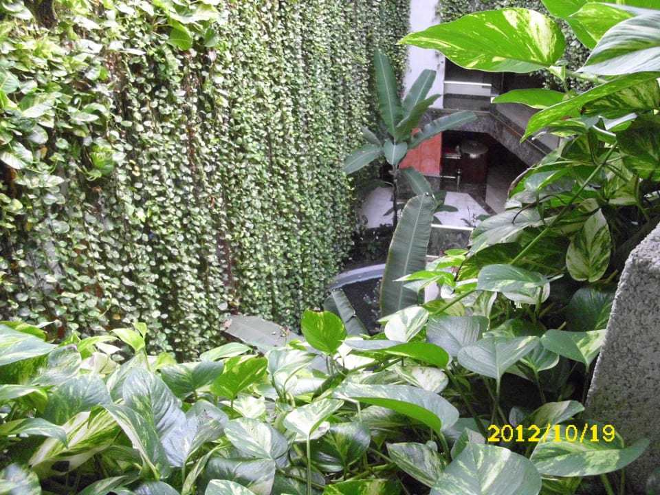 Im Hotel Alexandre Hotel Gala