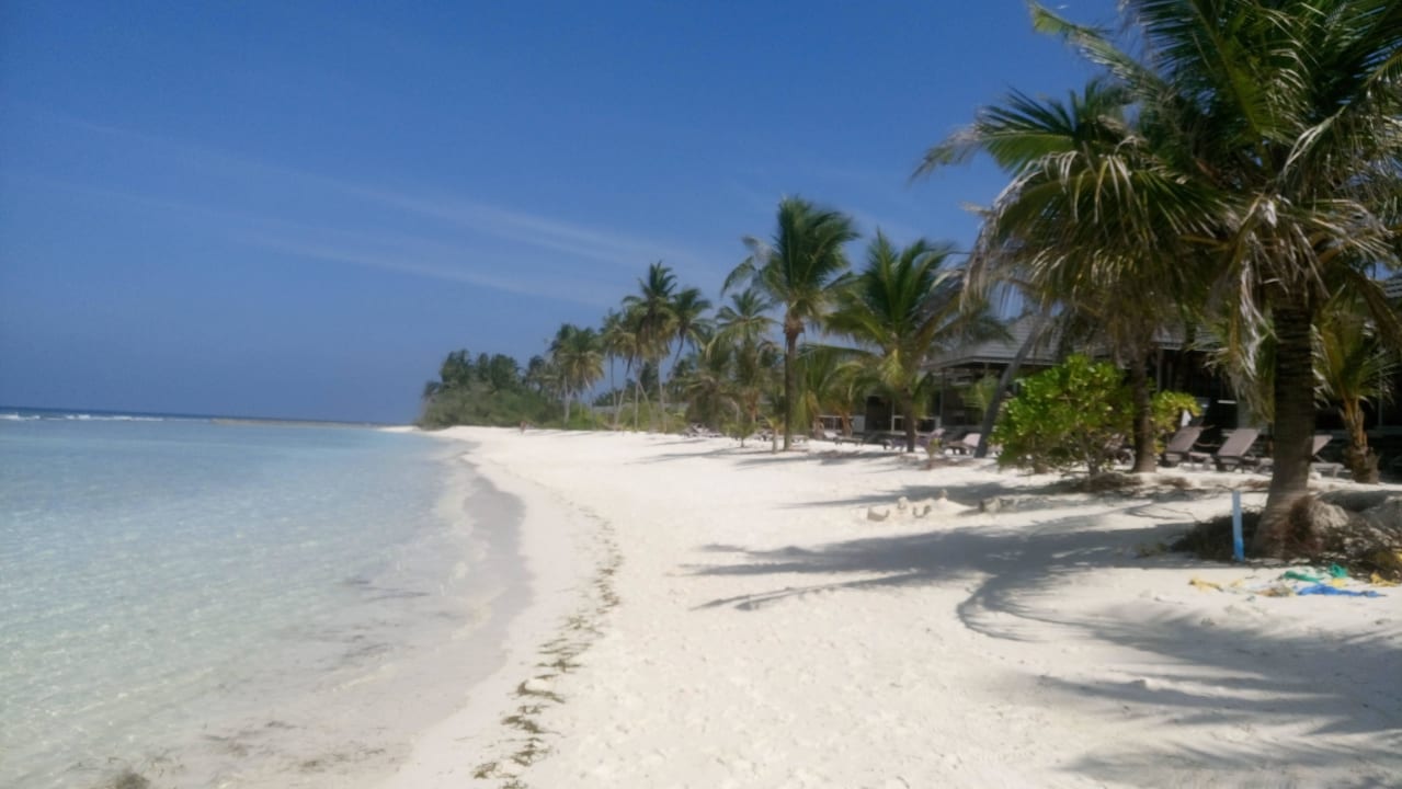 Strand  Kuredu Island Resort & Spa