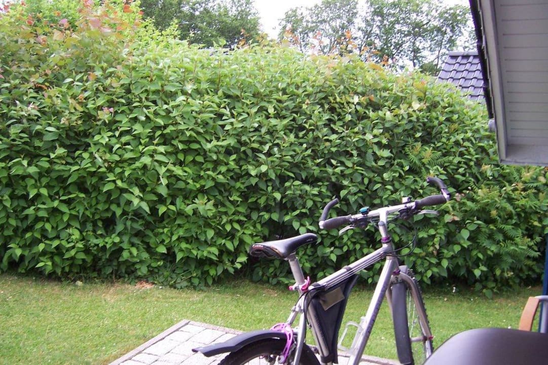 Gartenanlage Haus Nr. 15 Ferienhäuser Holnis