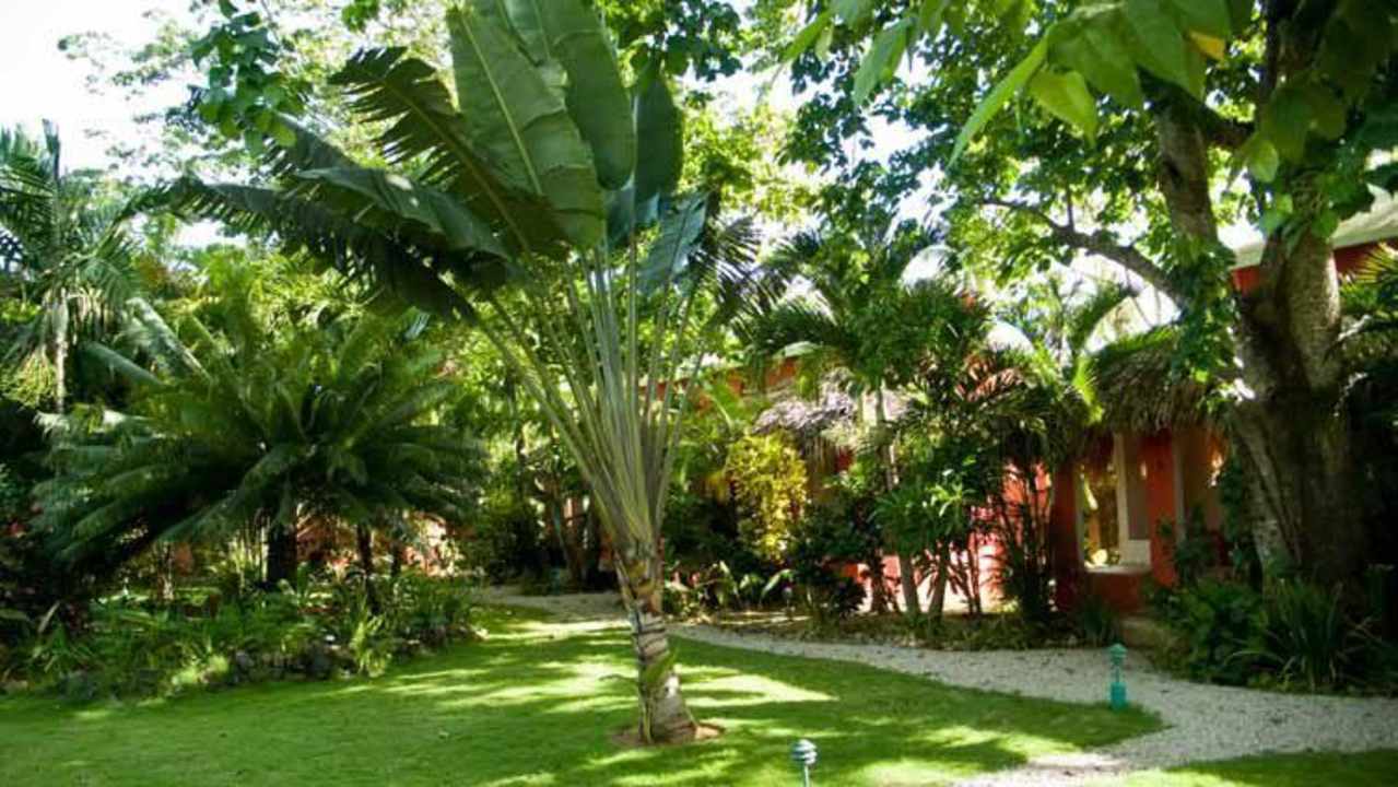 Jardín Hotel La Tortuga