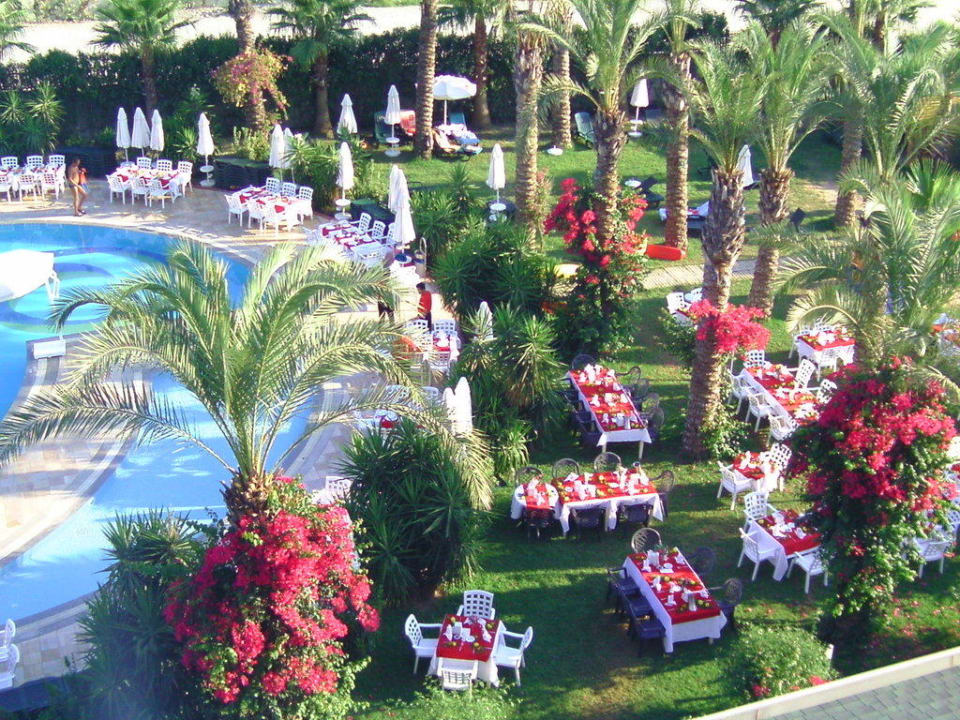 Türkischer Abend Calimera Hane Garden