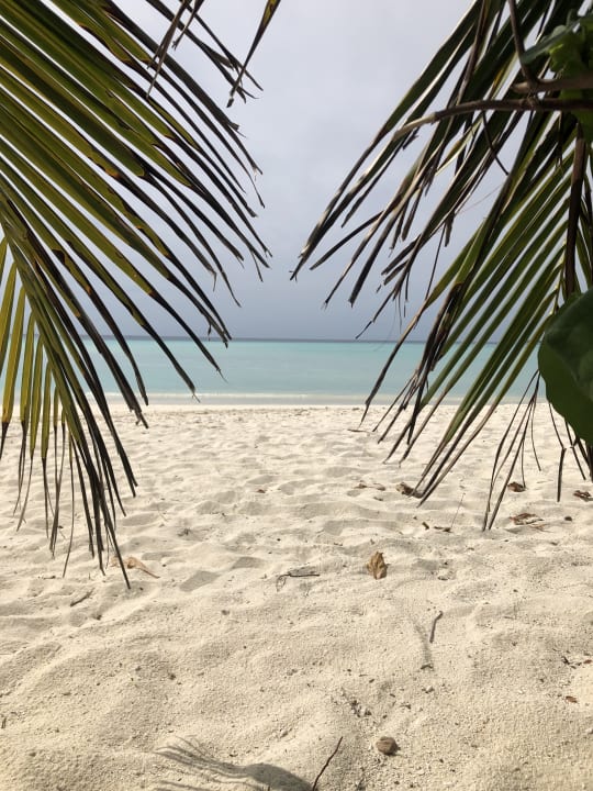 Strand Summer Island Maldives