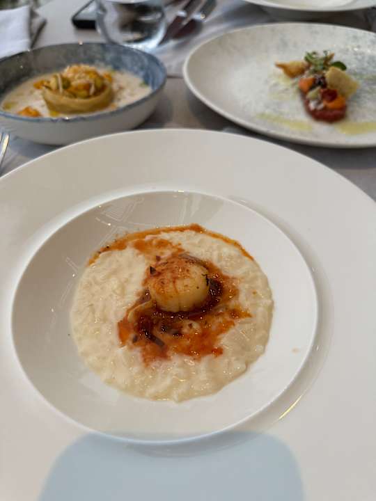 Gastro Paloma Finesse