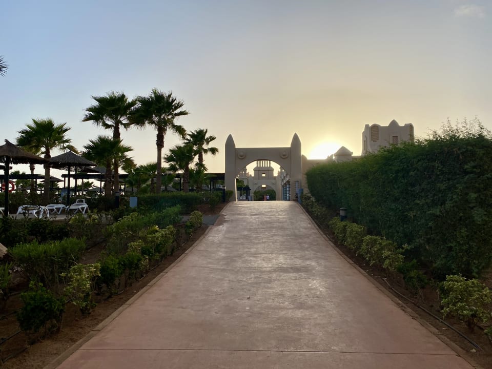 Gartenanlage Hotel Riu Touareg
