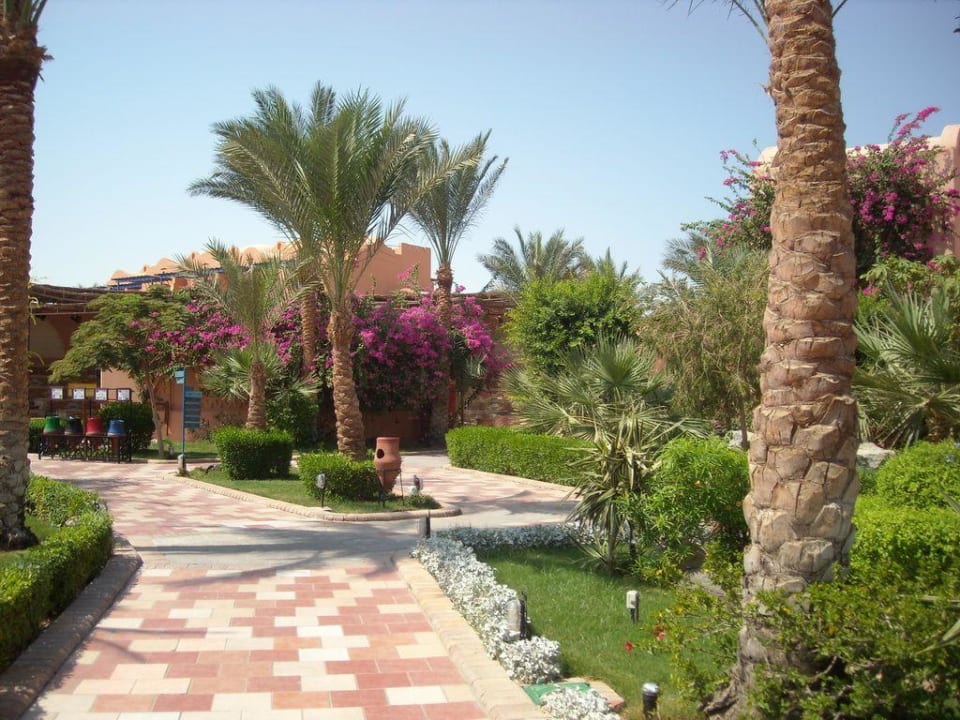 Makadi Oasis Jaz Makadi Oasis Resort