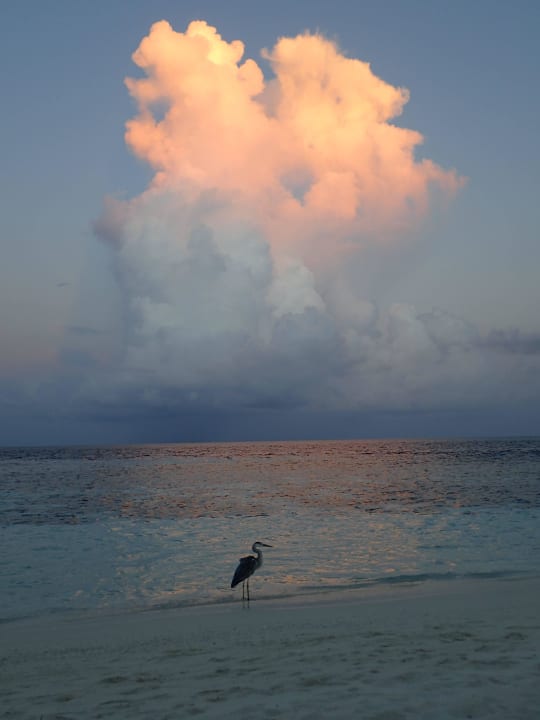 Abendsonne ananea Diamonds Athuruga