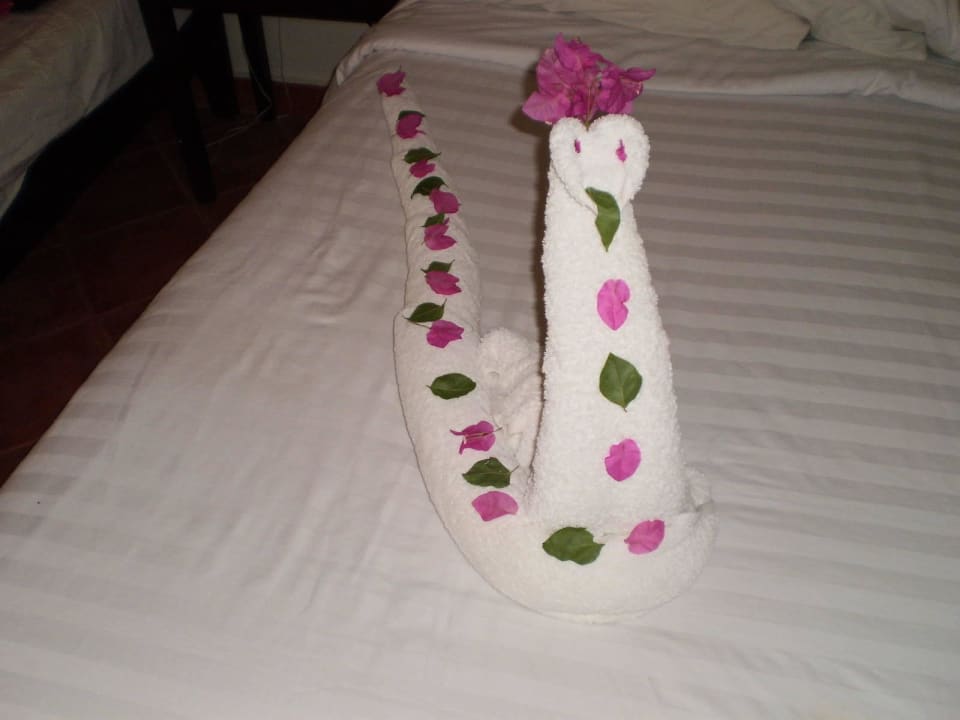 Hotel The Three Corners Sea Beach Resort Three Corners Sea Beach Resort