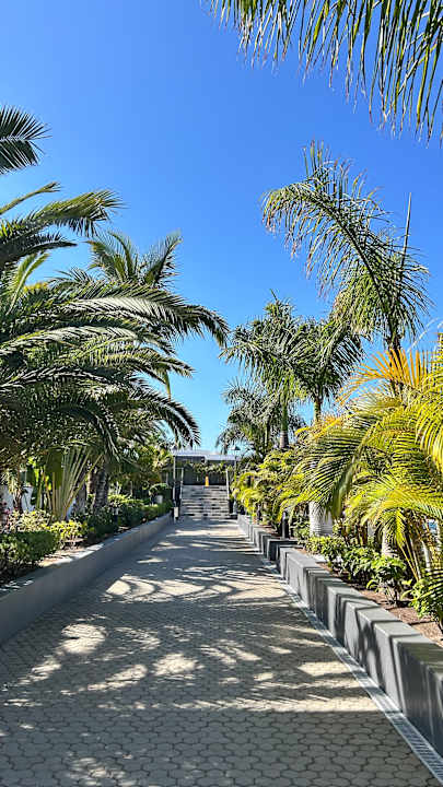 Gartenanlage Hotel Riu Palace Maspalomas Adults Only