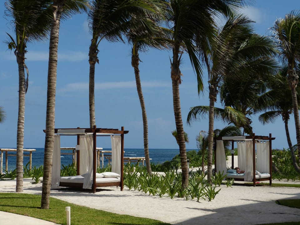 Gartenanlage am Strand Akumal Bay Beach & Wellness Resort