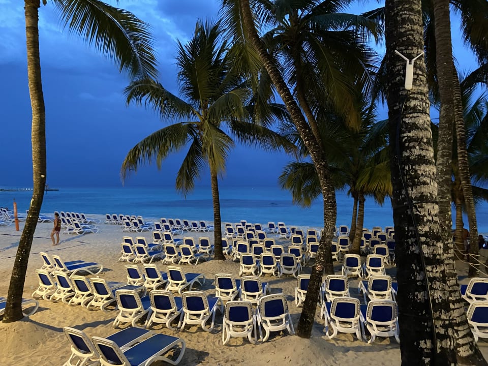 Strand Hotel Viva Dominicus Beach by Wyndham - All Inclusive Resort