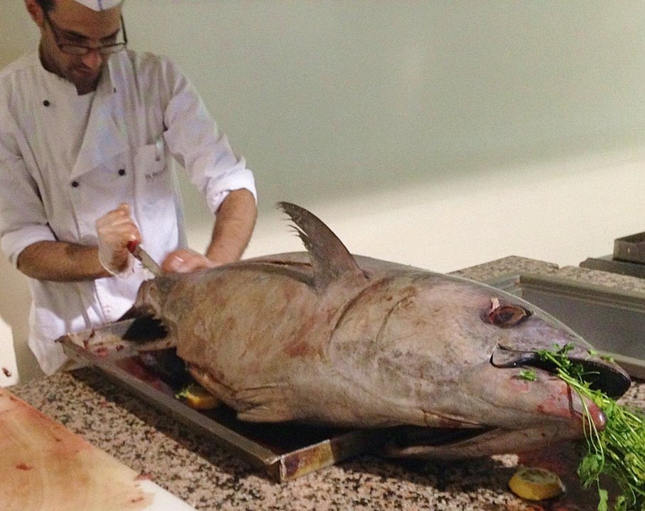 Lecker Tunfisch -Gegrillt 2 Hotel El Mouradi Mahdia