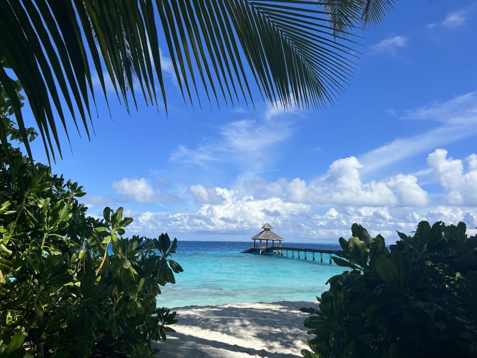 Ausblick NH Collection Maldives Reethi Resort