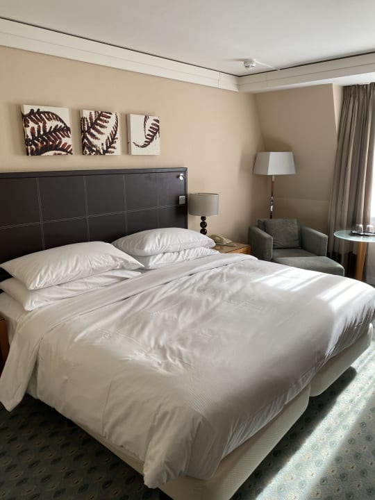 Zimmer Hilton Dresden