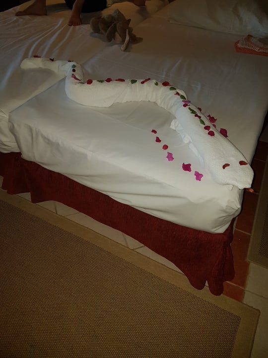 Zimmer Jaz Makadi Oasis Resort