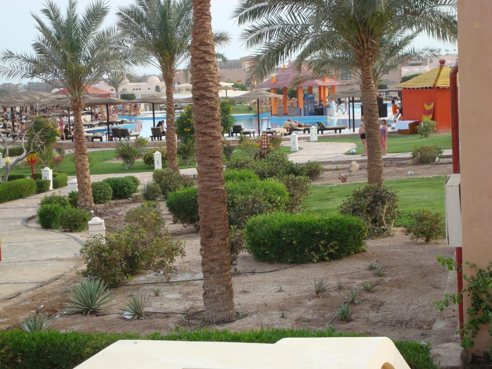 Vue de la chambre sur jardin Hotel Club Marmara Taba