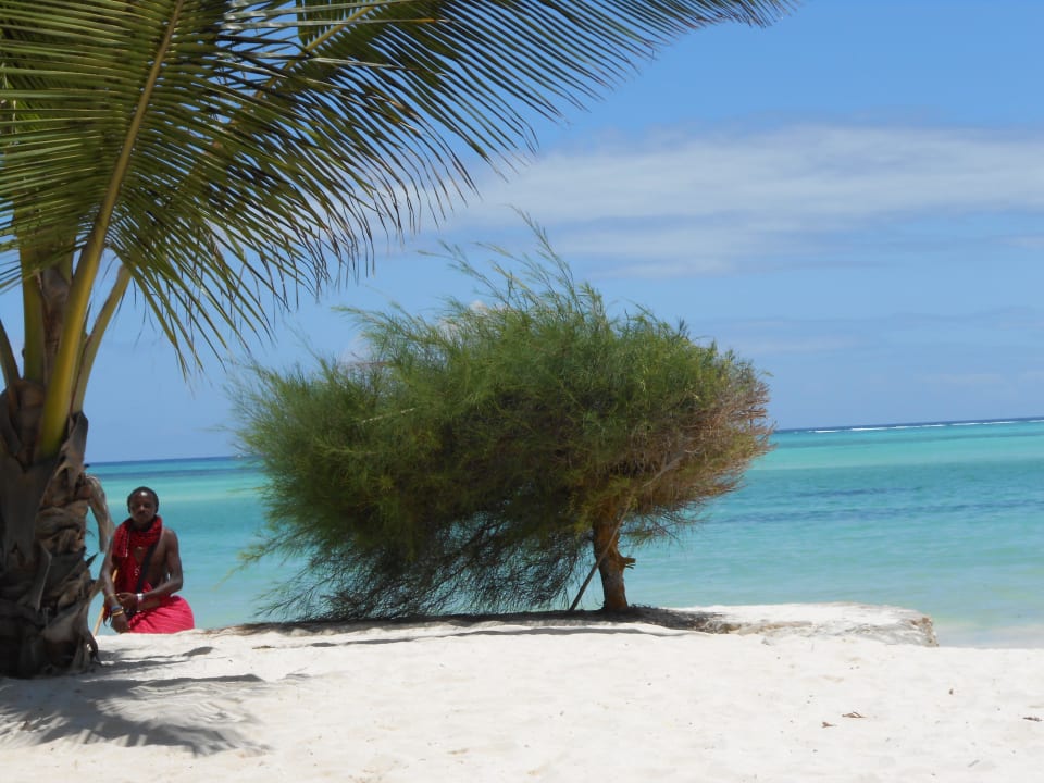Blick von der Strandliege... Neptune Pwani Beach Resort & Spa