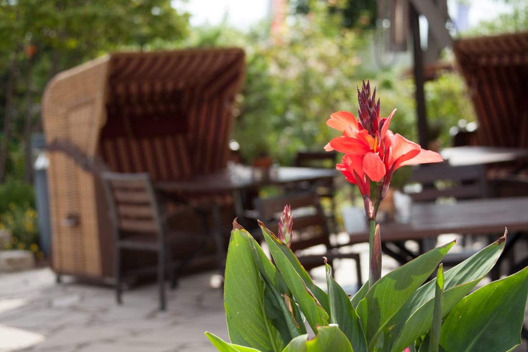 Restaurant Das Ahlbeck Hotel & SPA