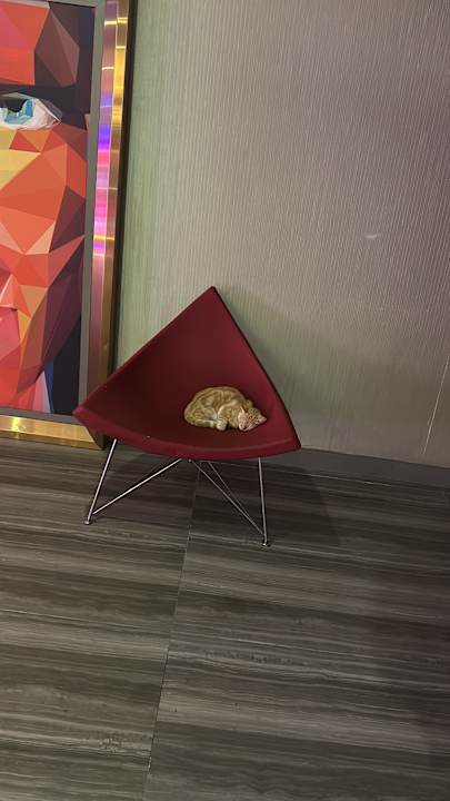 Lobby Side Star Elegance