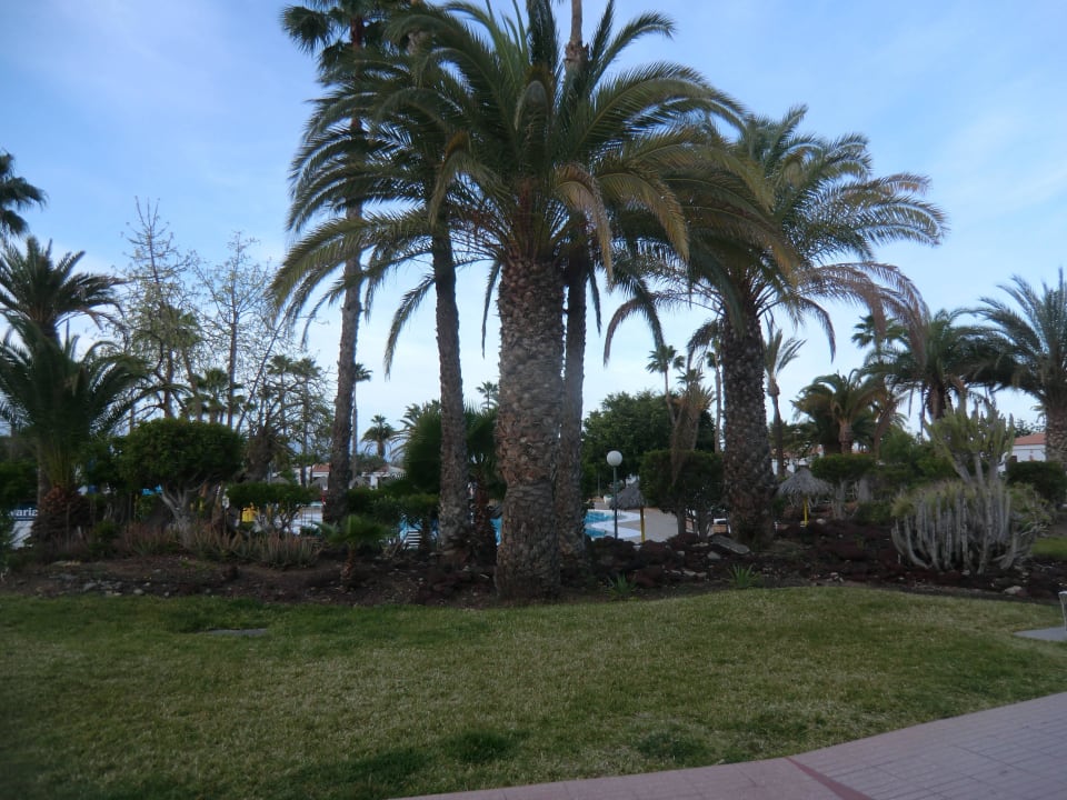 Anlage Bungalows Las Vegas Golf