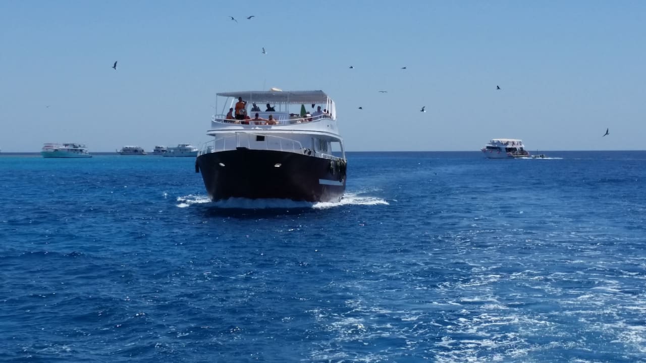 Ausblick Pickalbatros Dana Beach Resort - Hurghada