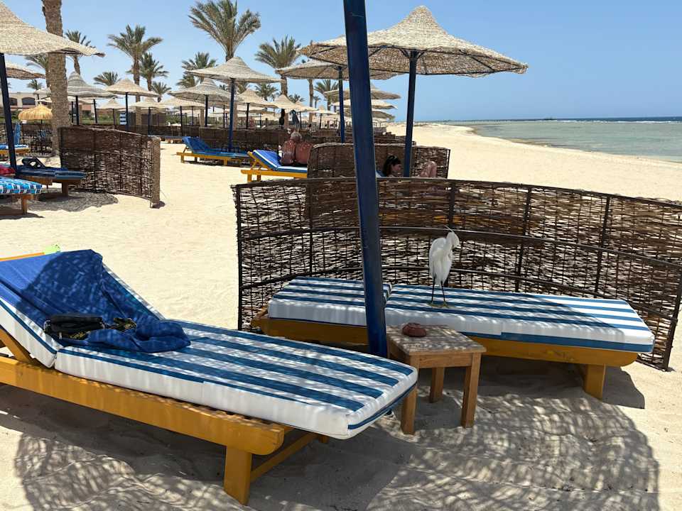 Strand Amarina Queen Resort Marsa Alam