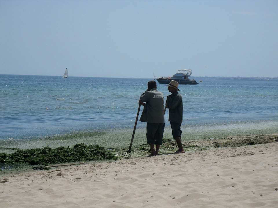 Atrakcje na plazy Alassio Hotel and Thalasso