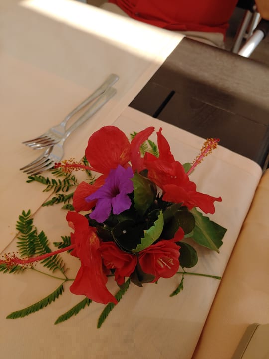 Gastro Bella Resort & Spa