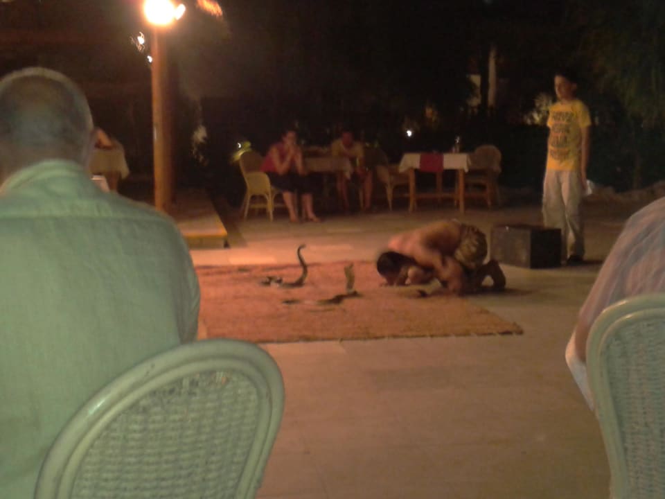 Oriental Show Ghazala Gardens