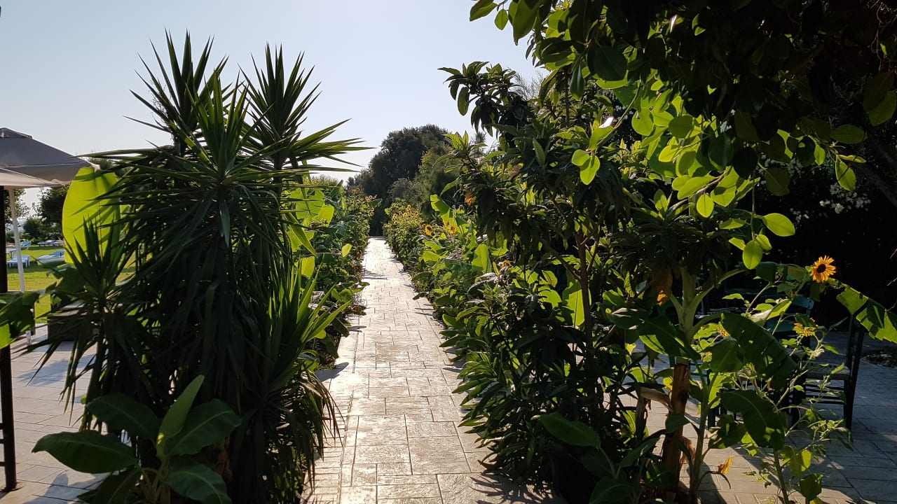 Gartenanlage Irene Palace Beach Resort Club alltoura