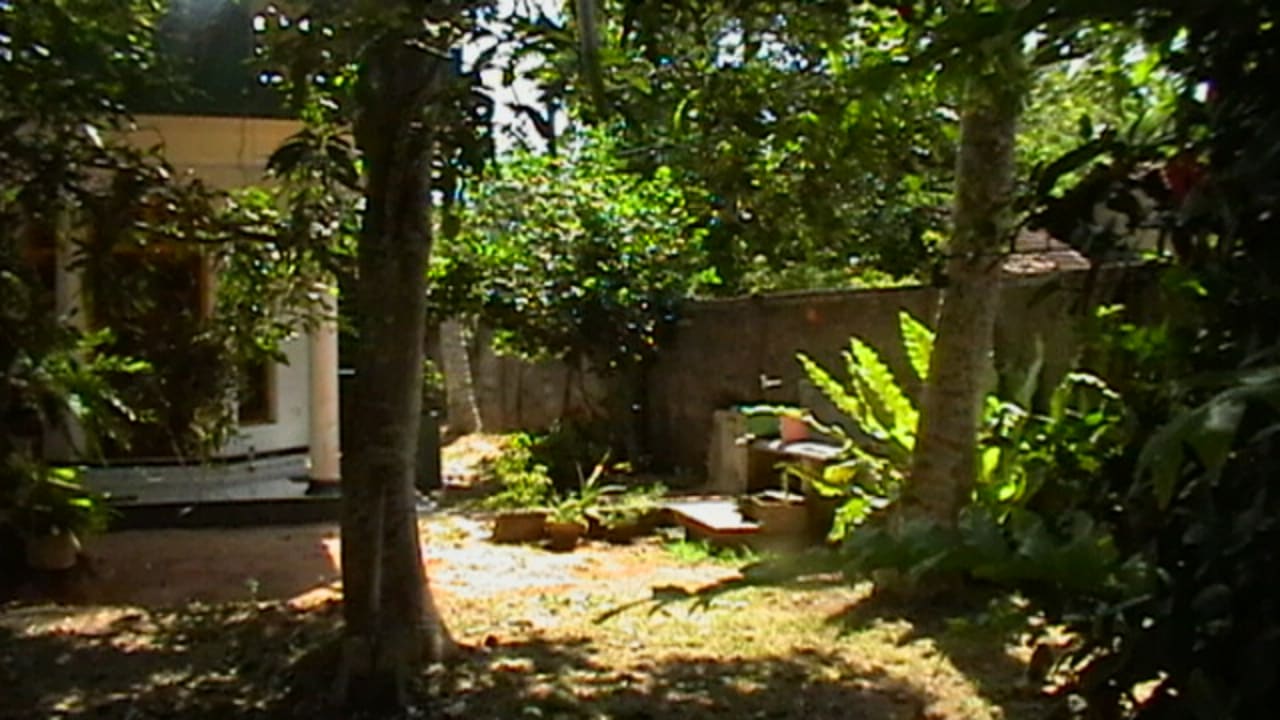 Außenansicht Sunshine Guesthouse