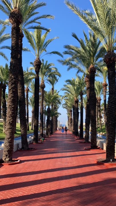 Ausblick Monachus Family Resort Sorgun