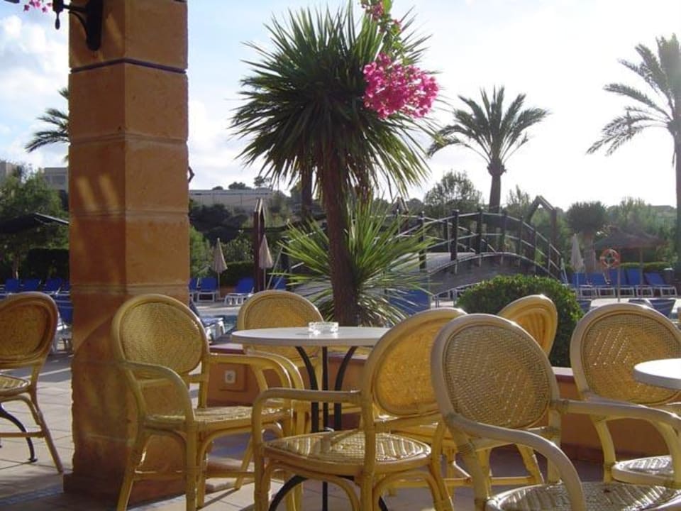 Poolbar Insotel Club Cala Mandia