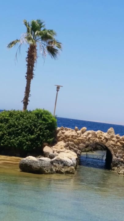 Strand Pickalbatros Citadel Resort