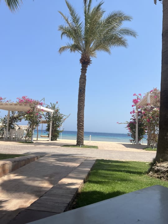 Gastro Fort Arabesque Resort, Spa & Villas