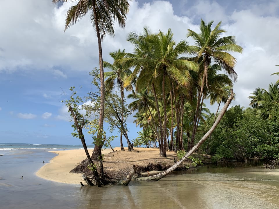 Strand Viva V Samana by Wyndham – Adults Only
