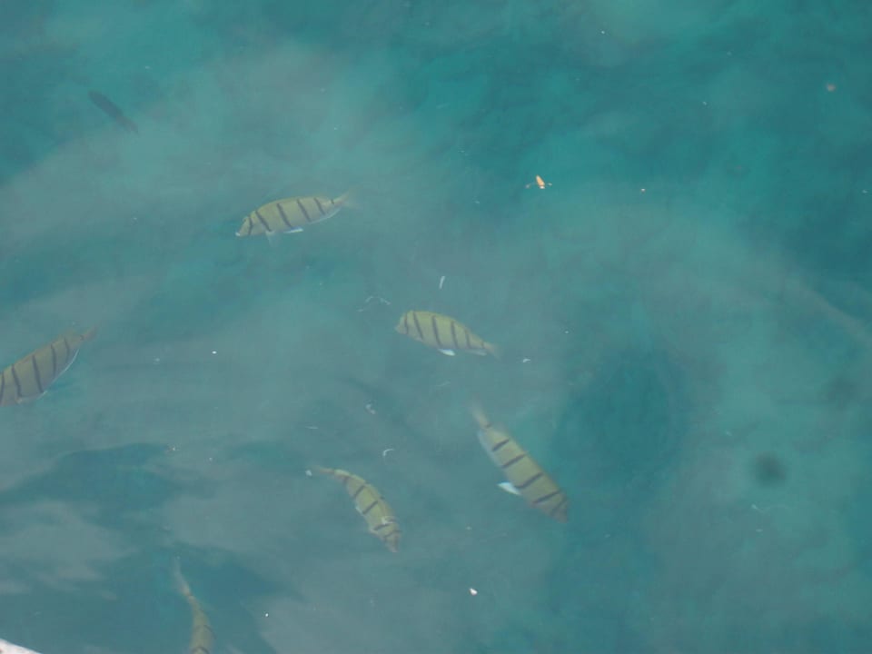 Glas Klares Wasser wie im Aquarieum Summer Island Maldives