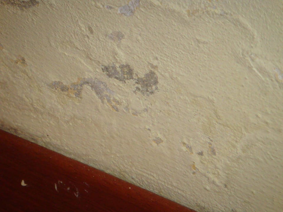 Unbehandelte Stockflecken Centro Vacanze La Limonaia