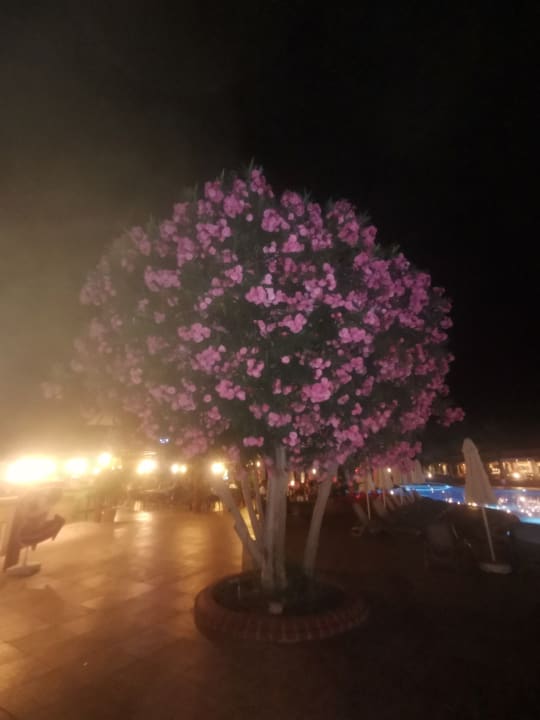 Pool VONRESORT Golden Beach