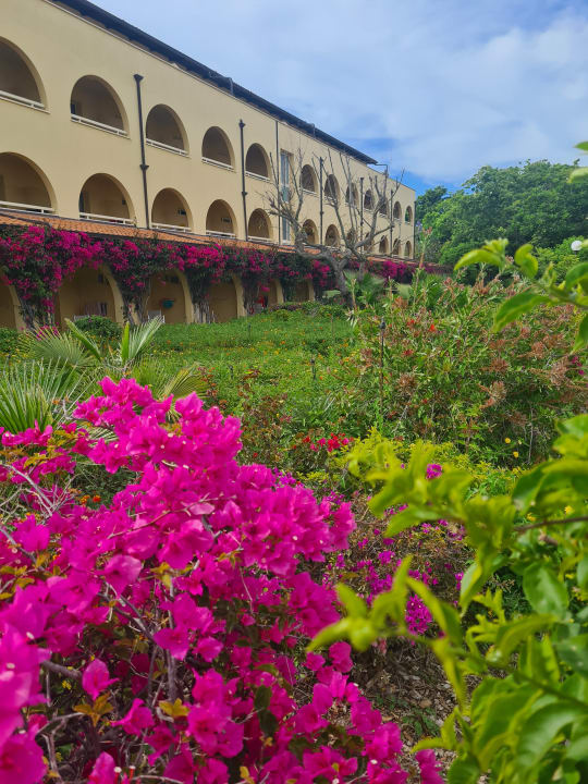 Gartenanlage TUI MAGIC LIFE Calabria