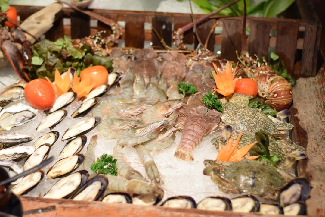 Gastro La Vela Khao Lak