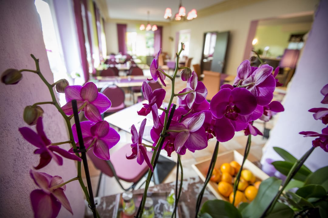 Sonstiges Berghotel Willingen Hotel/Pension