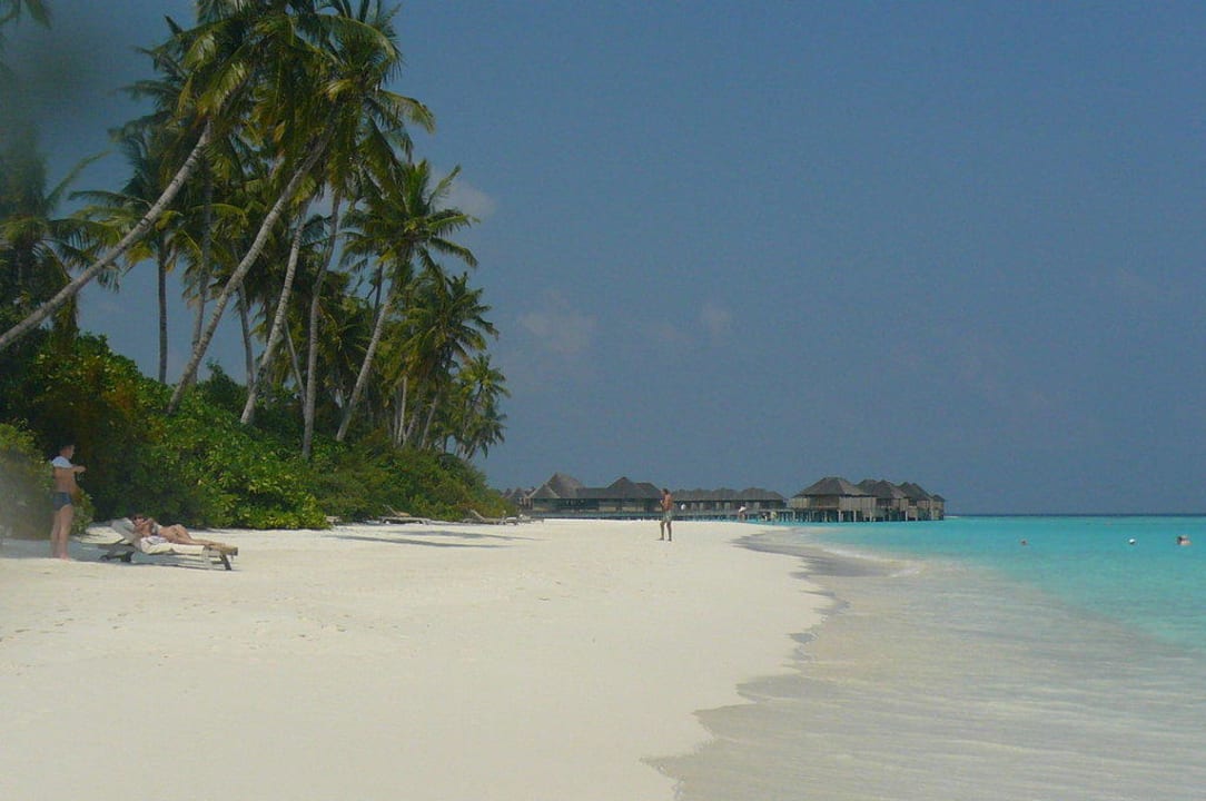 At the beach Sun Siyam Iru Fushi