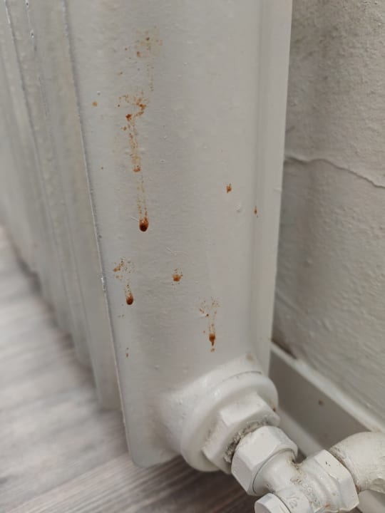 Zimmer Hotel Astoria