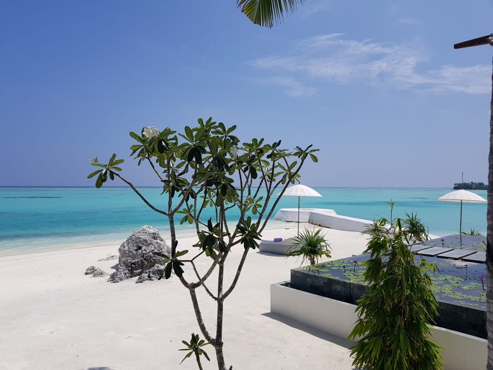 Spa  OZEN LIFE MAADHOO